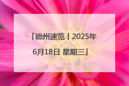 德州速览丨2025年6月18日 星期三