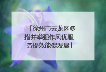 徐州市云龙区多措并举强作风优服务提效能促发展