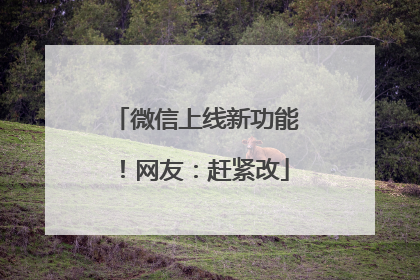 微信上线新功能！网友：赶紧改