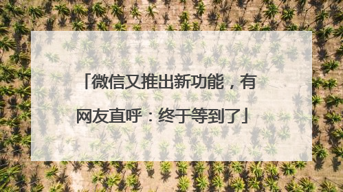 微信又推出新功能，有网友直呼：终于等到了