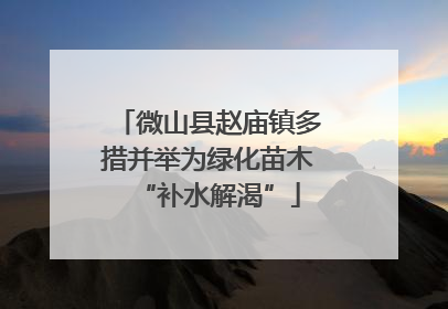 微山县赵庙镇多措并举为绿化苗木“补水解渴”