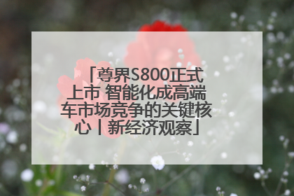 尊界S800正式上市 智能化成高端车市场竞争的关键核心丨新经济观察