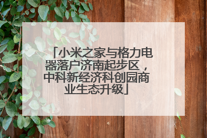 小米之家与格力电器落户济南起步区，中科新经济科创园商业生态升级