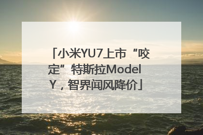 小米YU7上市“咬定”特斯拉Model Y，智界闻风降价