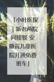 小叶医探｜新老两院间接驳 安徽省儿童医院开通免费班车