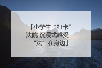 小学生“打卡”法院 沉浸式感受“法”在身边