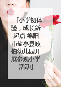小学初体验，成长新起点 绵阳市盐亭县岐伯幼儿园开展参观小学活动