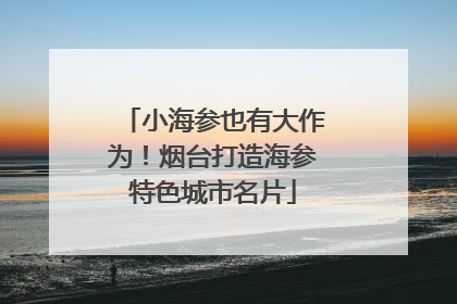 小海参也有大作为！烟台打造海参特色城市名片