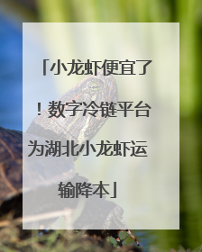 小龙虾便宜了！数字冷链平台为湖北小龙虾运输降本
