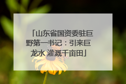 山东省国资委驻巨野第一书记：引来巨龙水 灌溉千亩田