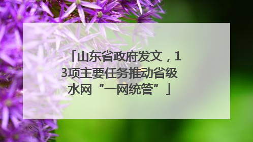 山东省政府发文，13项主要任务推动省级水网“一网统管”
