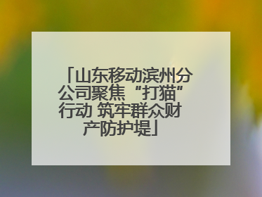 山东移动滨州分公司聚焦“打猫”行动 筑牢群众财产防护堤