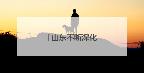 山东不断深化智慧公安建设