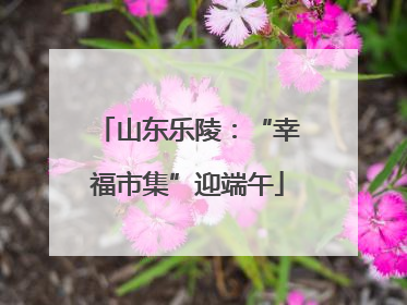 山东乐陵：“幸福市集”迎端午