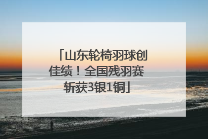 山东轮椅羽球创佳绩！全国残羽赛斩获3银1铜