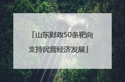 山东财政50条靶向支持民营经济发展
