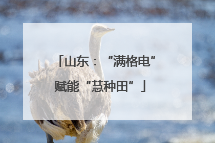 山东：“满格电”赋能“慧种田”