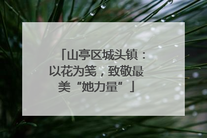 山亭区城头镇：以花为笺，致敬最美“她力量”