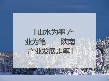 山水为墨 产业为笔——陕南产业发展走笔