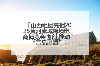 山西组团亮相2025黄河流域跨境电商博览会 加速推动“晋品出海”