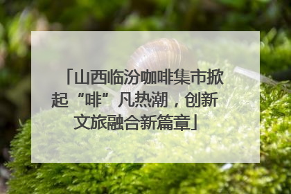 山西临汾咖啡集市掀起“啡”凡热潮，创新文旅融合新篇章
