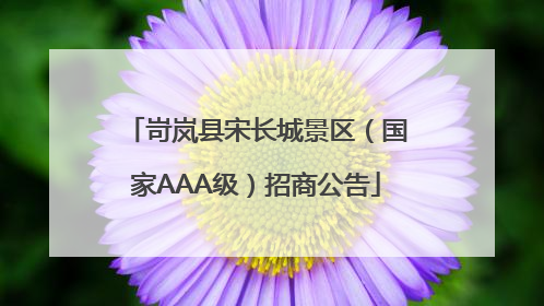 岢岚县宋长城景区（国家AAA级）招商公告