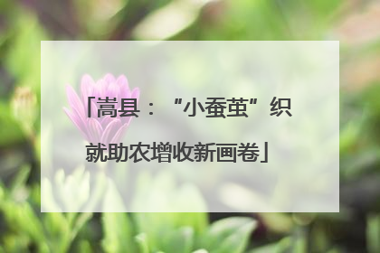 嵩县：“小蚕茧”织就助农增收新画卷