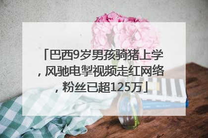 巴西9岁男孩骑猪上学，风驰电掣视频走红网络，粉丝已超125万