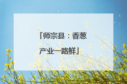师宗县：香葱产业一路鲜