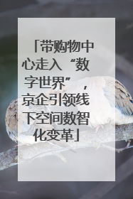 带购物中心走入“数字世界”，京企引领线下空间数智化变革