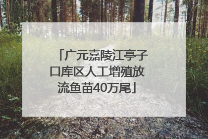 广元嘉陵江亭子口库区人工增殖放流鱼苗40万尾