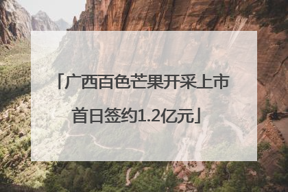 广西百色芒果开采上市 首日签约1.2亿元