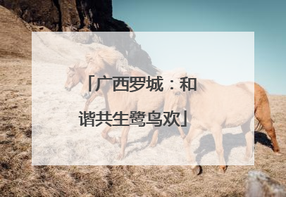 广西罗城：和谐共生鹭鸟欢