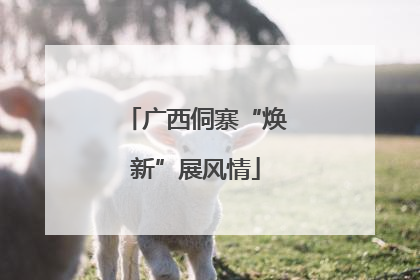 广西侗寨“焕新”展风情