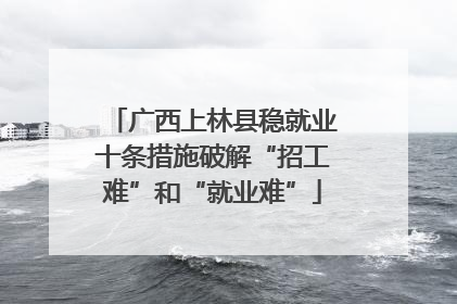 广西上林县稳就业十条措施破解“招工难”和“就业难”