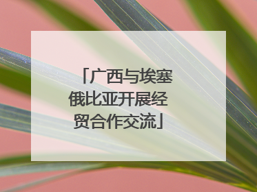 广西与埃塞俄比亚开展经贸合作交流