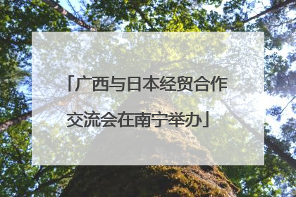 广西与日本经贸合作交流会在南宁举办