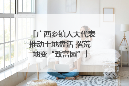 广西乡镇人大代表推动土地盘活 撂荒地变“致富园”