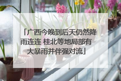 广西今晚到后天仍然降雨连连 桂北等地局部有大暴雨并伴强对流
