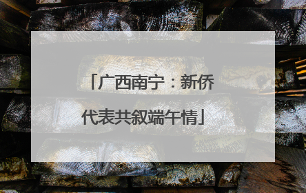 广西南宁：新侨代表共叙端午情