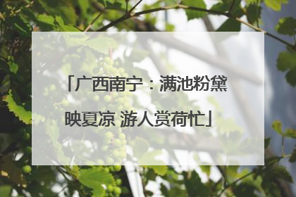 广西南宁：满池粉黛映夏凉 游人赏荷忙