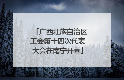 广西壮族自治区工会第十四次代表大会在南宁开幕