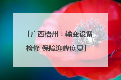 广西梧州：输变设备检修 保障迎峰度夏