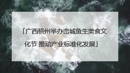 广西横州举办峦城鱼生美食文化节 推动产业标准化发展