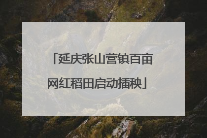 延庆张山营镇百亩网红稻田启动插秧