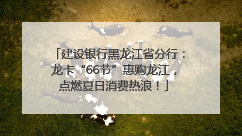 建设银行黑龙江省分行：龙卡“66节”惠购龙江，点燃夏日消费热浪！