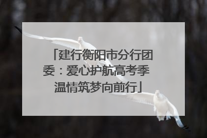 建行衡阳市分行团委：爱心护航高考季 温情筑梦向前行