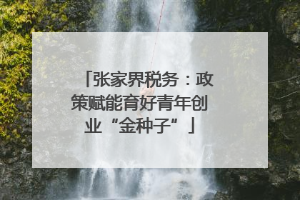 张家界税务：政策赋能育好青年创业“金种子”