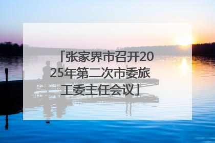 张家界市召开2025年第二次市委旅工委主任会议