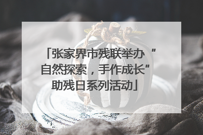 张家界市残联举办“自然探索，手作成长”助残日系列活动
